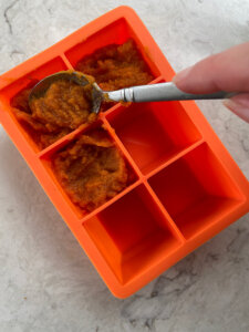 freezing pumpkin puree in ice cube tray