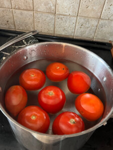 tomatoes for galayet bandora