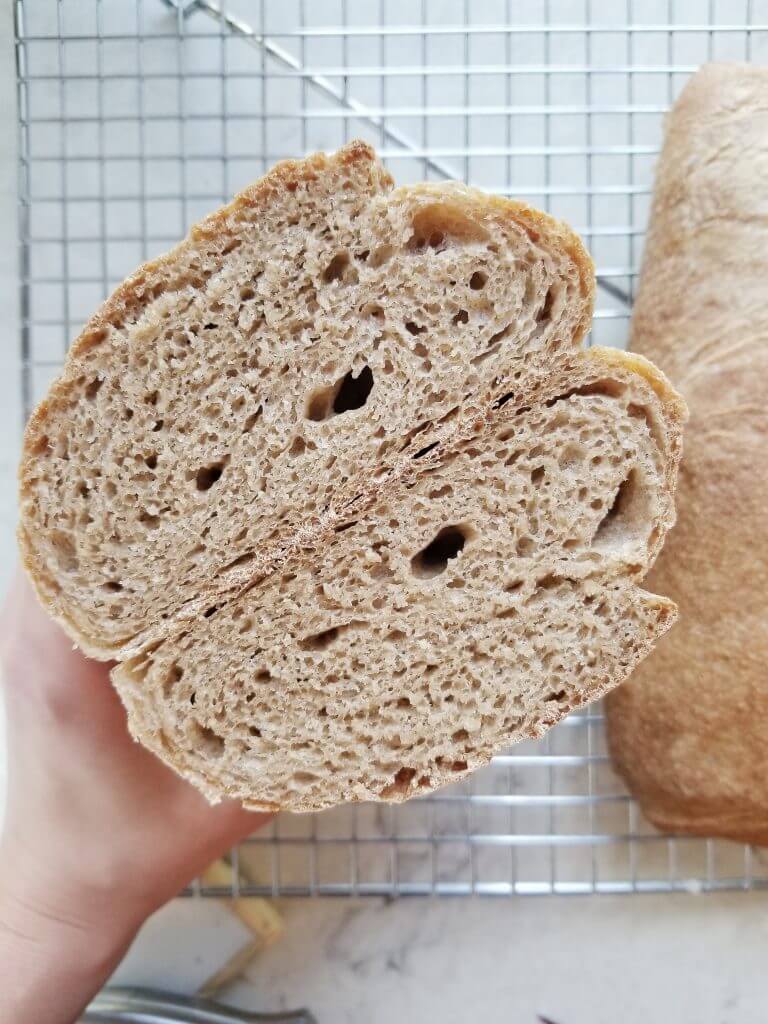 whole wheat ciabatta bread