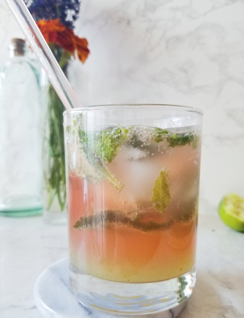 kombucha mojito mocktail in a glass with fresh mint leaves new years recipes