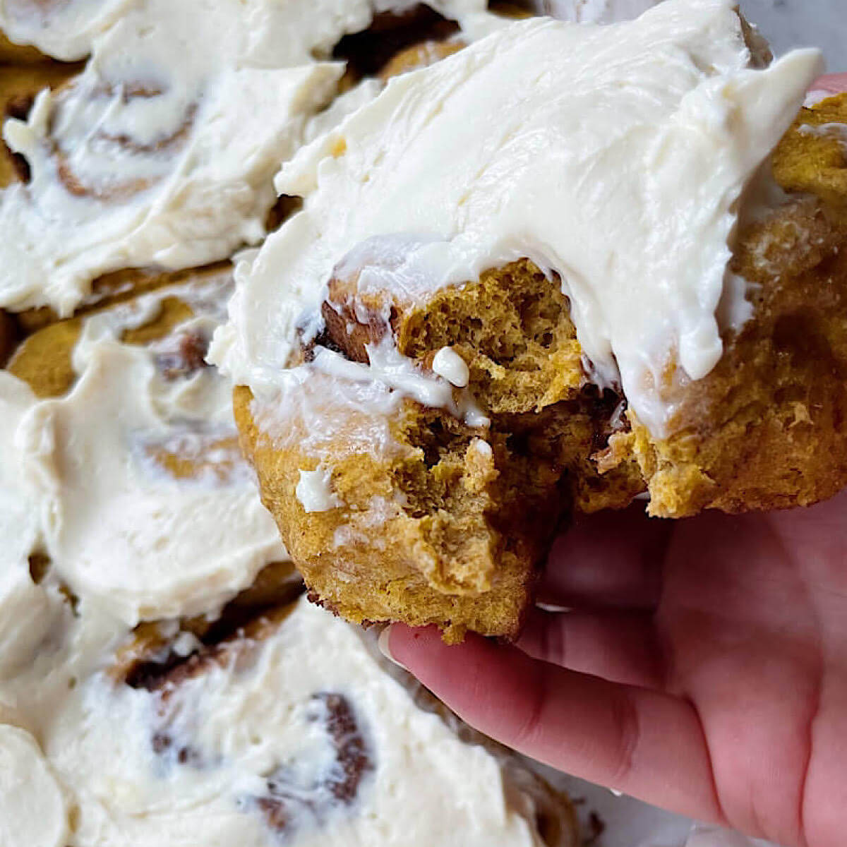 Healthy Pumpkin Cinnamon Rolls - The Hint of Rosemary